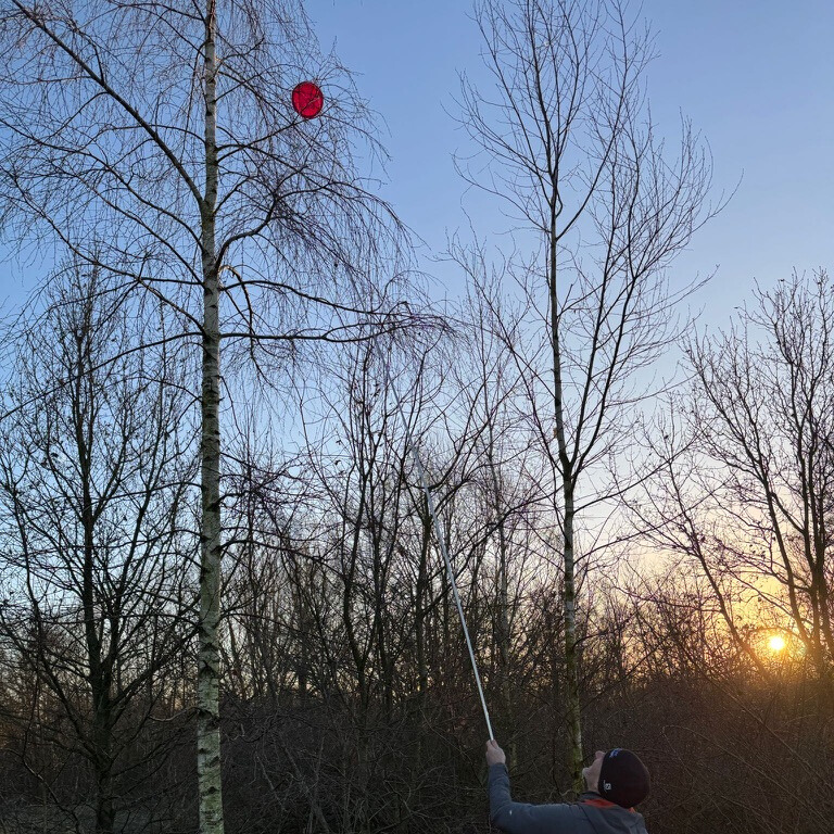 A picture of a friend of mine, recovering a disc golf disc from a tree